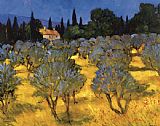 Les Olives en Printemps (The Olives in Spring) by Philip Craig